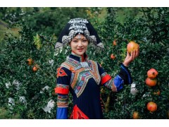 航拍大涼山十萬畝石榴林   是中國石榴之鄉圖2